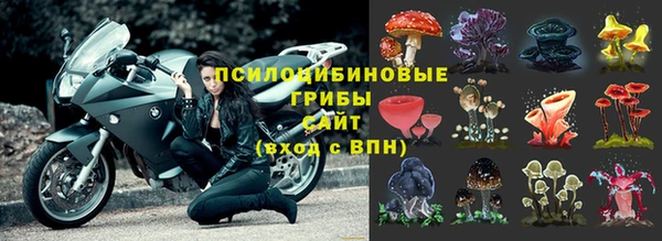 ешки Пролетарск
