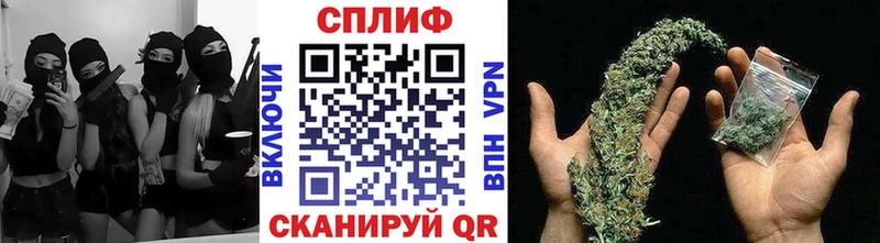 Канабис гибрид  Луховицы 